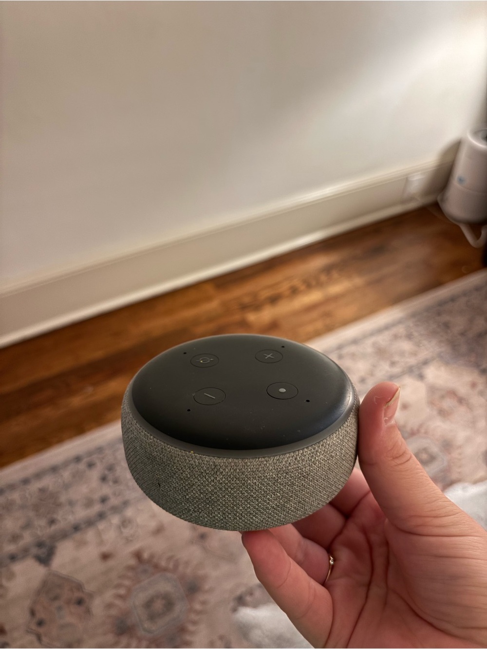 Amazon Smart Speaker in Charcoal and Heather Gray